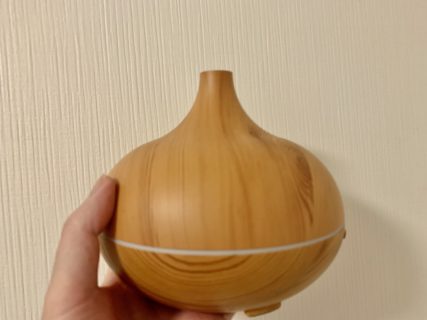 もったいないオバケ上等！今年もタマネギみたいな加湿器を購入【ふつうの日記】