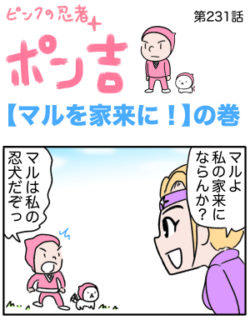 ピンクの忍者ポン吉　第231話【マルを家来に！】の巻