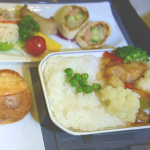 JALのビジネスクラスのベジタリアン特別機内食